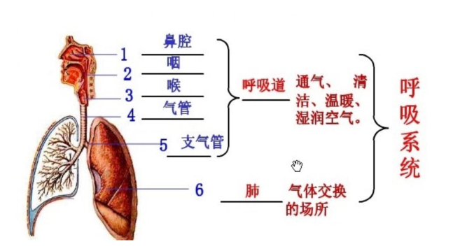 1688612214626632.png aada134d3b371df753628ecfd2409db9_640_wx_fmt=png&wxfrom=5&wx_lazy=1&wx_co=1.png